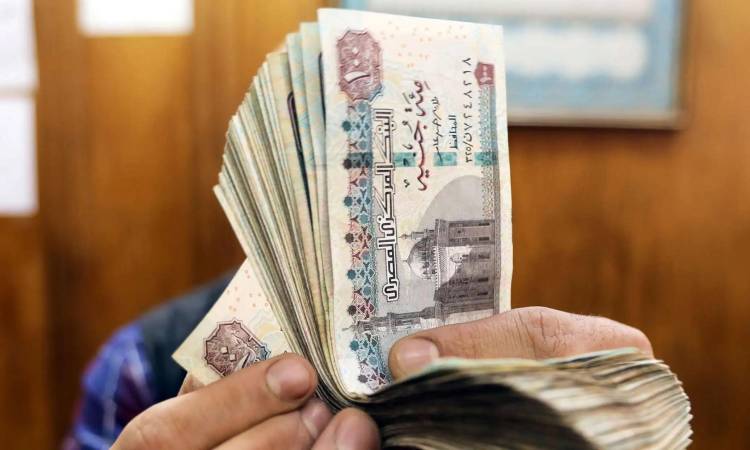 مرتبات شهر نوفمبر