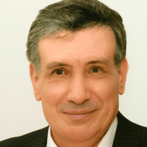 الحياة النيابية في مصر، فشل البرلمان، وجيه الصقار، الانتخابات المصرية