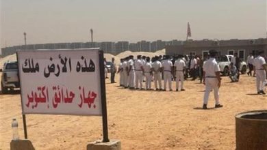 النيابة