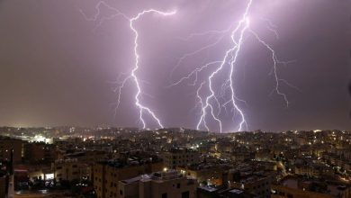 الدراسة
