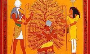 شجرة الميلاد وأسطورة أوزوريس في مصر القديمة