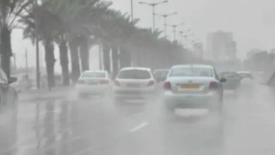 الأرصاد