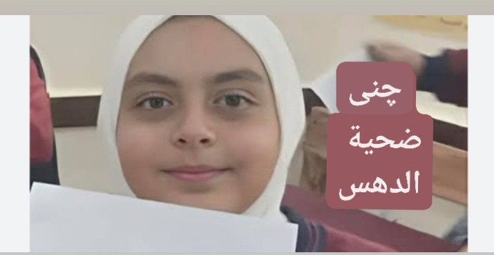 وجيه الصقار, الاعتداء على المدرسين, العنف في المدارس, انهيار الأخلاق, وزارة التربية والتعليم, حوادث المدارس, الدراما والبلطجة, التربية والأخلاق, أخبار مصر, مقالات الرأي