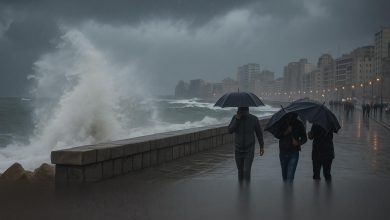 نوة قاسم, حالة الطقس اليوم, هيئة الأرصاد الجوية, مركز معلومات تغير المناخ, طقس الإسكندرية, أمطار غزيرة, تحذير للمزارعين, تعطل الملاحة, أخبار مصر, الدليل نيوز, كريم محمد