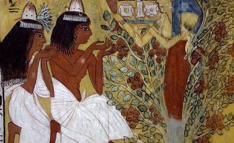 شجرة الميلاد وأسطورة أوزوريس في مصر القديمة