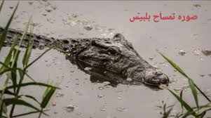 , محافظة الشرقية, مركز بلبيس, عزبة السدرة, وزارة البيئة, صيد التماسيح, سامح المغازي, ترعة أبو الأخضر, أخبار المحافظات, الدليل نيوز