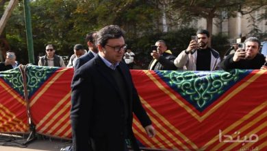 داوود عبد السيد