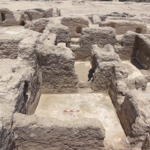 مجمع رهباني