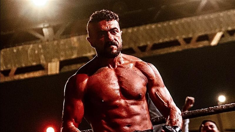 الشركة المتحدة