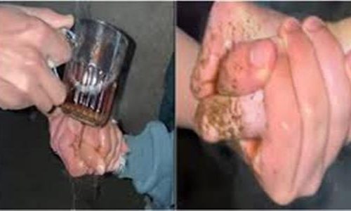 كوباية الشاي