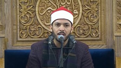 محمود كمال النجار