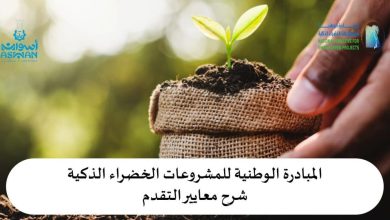 أسوان
