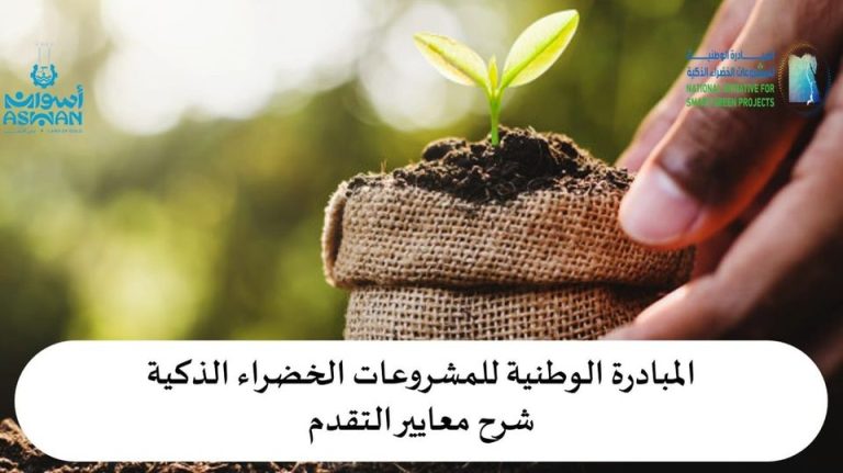 أسوان