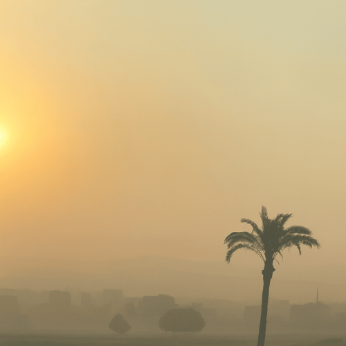 وزارة الزراعة