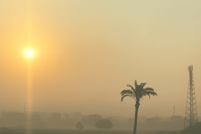 وزارة الزراعة