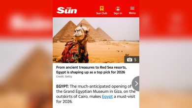 The Sun