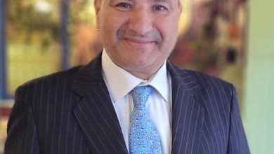 الدكتور هشام الليثي القائم بأعمال أمين عام المجلس الأعلى للآثار 2026