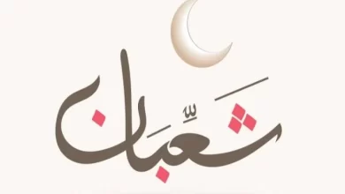 الإفتاء