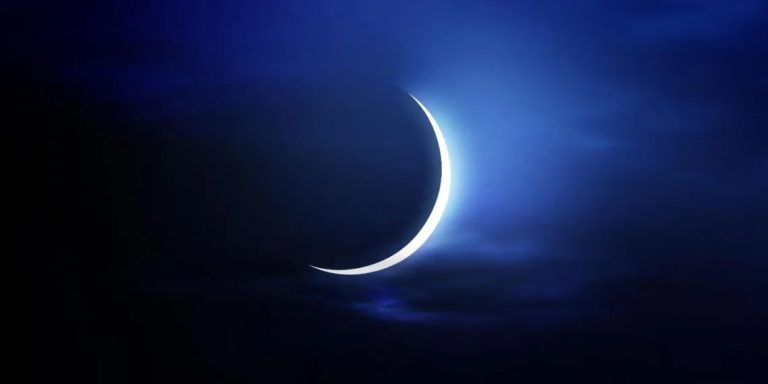 الإفتاء
