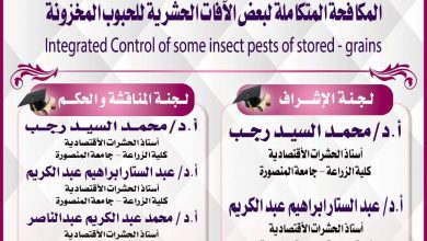 دعوة مناقشة رسالة الدكتوراة للباحثة سهام زينهم