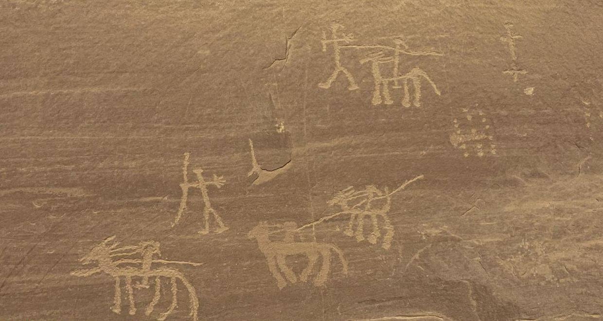 نقوش صخرية ملونة ورسومات لحيوانات وبشر على جدران هضبة أم عراك بجنوب سيناء