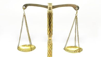 قانون حماية المنافسة، منع الممارسات الاحتكارية، جهاز حماية المنافسة، المادة 8 من القانون، الاحتكار في مصر