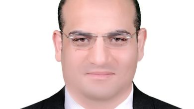 علاء الدماصي: مصر تظل قائدة استراتيجية السلام في منطقة الشرق الأوسط