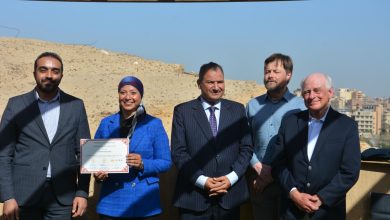 مدرسة الحفائر، أهرامات الجيزة، وزارة السياحة والآثار، جمعية أبحاث مصر القديمة، حفائر حيط الغراب