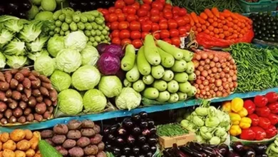 أسعار الفاكهة والخضراوات في مصر