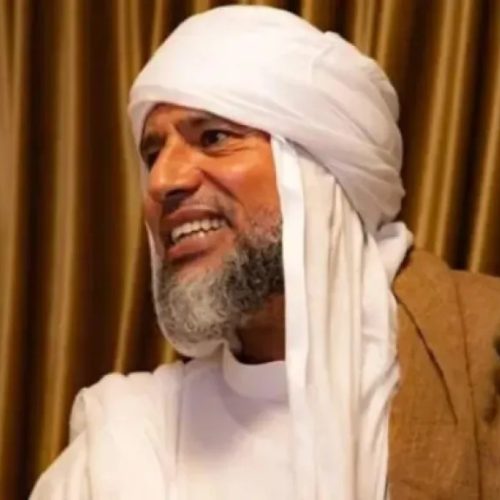 سيف الإسلام القذافي