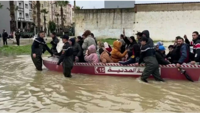 غرينبيس