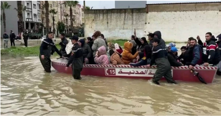 غرينبيس