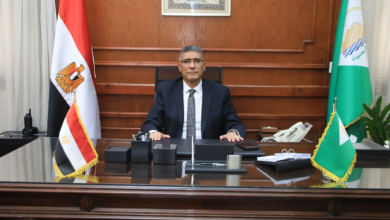 محافظ الجيزة