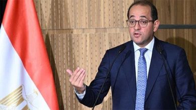وزير المالية