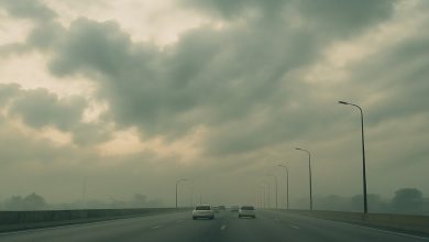 حالة الطقس غدا الأربعاء
