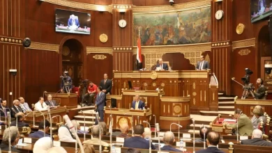 النائب نشأت أبو حتة يتحدث عن الموقف المصري والدبلوماسية تجاه القضية الفلسطينية