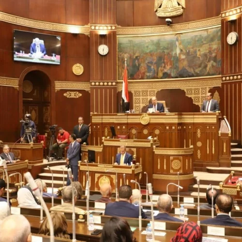 النائب نشأت أبو حتة يتحدث عن الموقف المصري والدبلوماسية تجاه القضية الفلسطينية