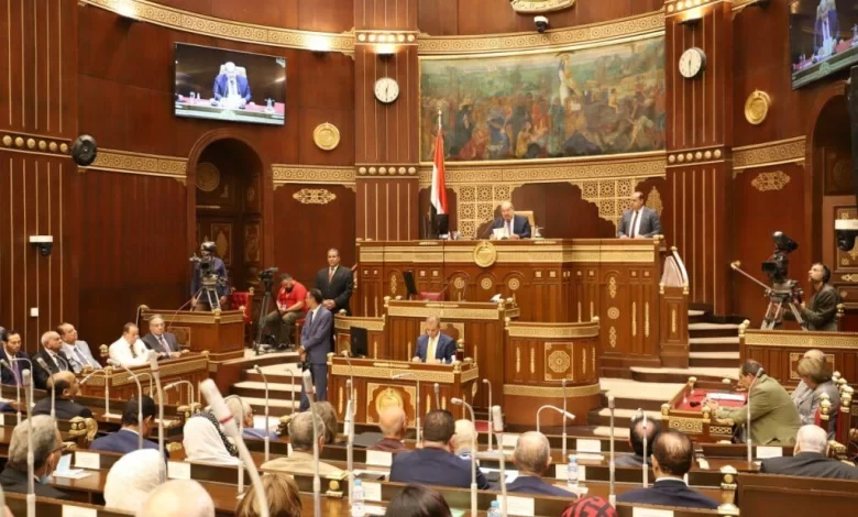 النائب نشأت أبو حتة يتحدث عن الموقف المصري والدبلوماسية تجاه القضية الفلسطينية