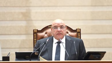 الجلسة العامة لمجلس النواب المصري لمناقشة تعديلات قانون سجل المستوردين