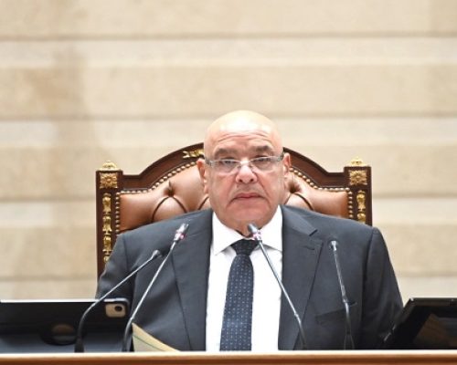 الجلسة العامة لمجلس النواب المصري لمناقشة تعديلات قانون سجل المستوردين