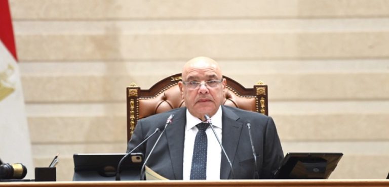 الجلسة العامة لمجلس النواب المصري لمناقشة تعديلات قانون سجل المستوردين