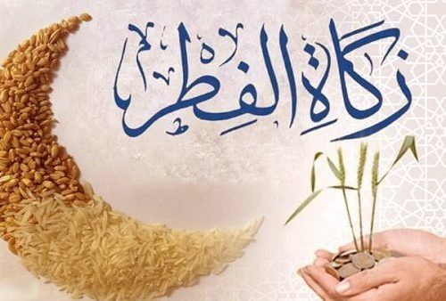 زكاة الفطر