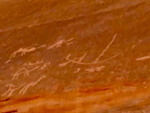 نقوش صخرية نادرة تعود لآلاف السنين مكتشفة في وادي عرادة قرب سانت كاترين