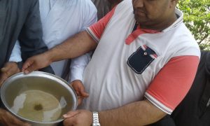 علاء سليمان الحديوي