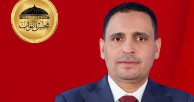 النائب إسلام التلواني عضو لجنة العلاقات الخارجية بمجلس النواب