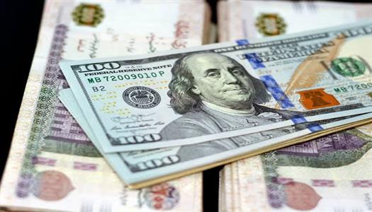 سعر الدولار اليوم
