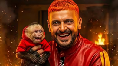 رامز ليفل الوحش