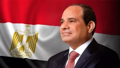 السياسة المالية, الاستثمار, الإصلاح الاقتصادي, مصر, النمو