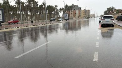 الربيع