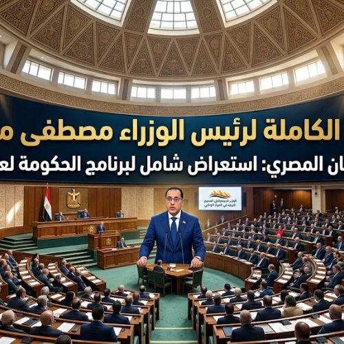 الحزب المصري الديمقراطي